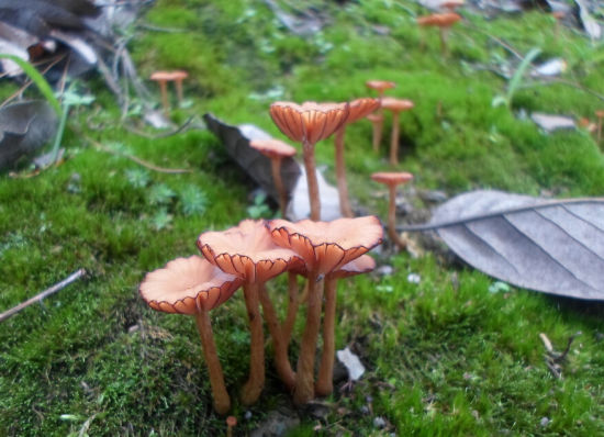 空調冷卻塔的維修保養,空調冷卻塔維修需要什么經營范圍